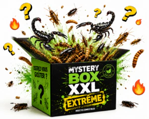 Box Mystère XXL Extrême - 7 produits insectes comestibles dont scorpion et tarentule