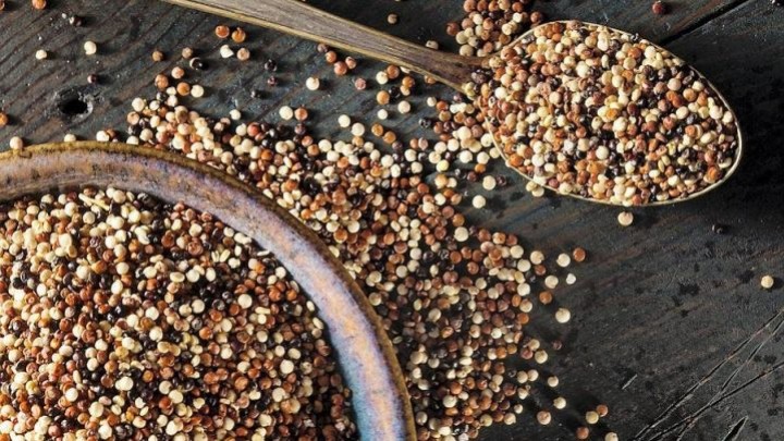 Pourquoi manger du quinoa ?