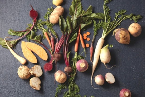 Pourquoi manger des racines, les bienfaits