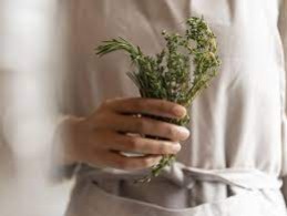 Comment soulager les problèmes de digestion grâce aux plantes ?