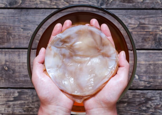 Kombucha : votre guide complet