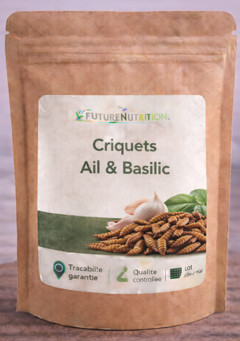 Criquets | Ail & basilic