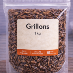 Grillons au kilo