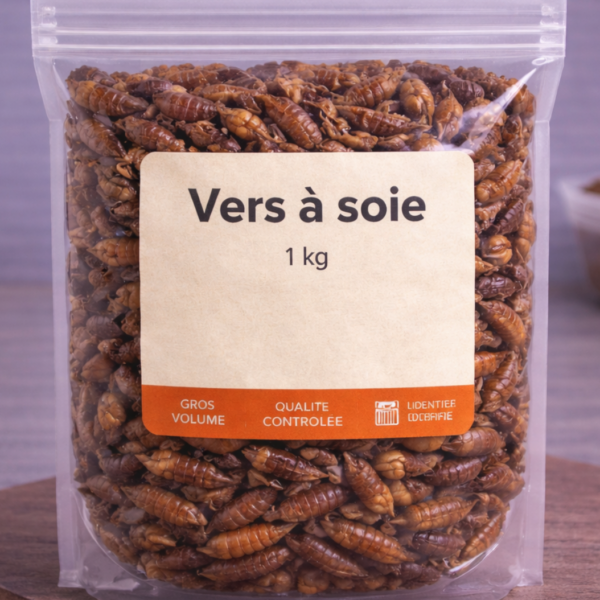 Vers à soie au kilo - FutureNutrition