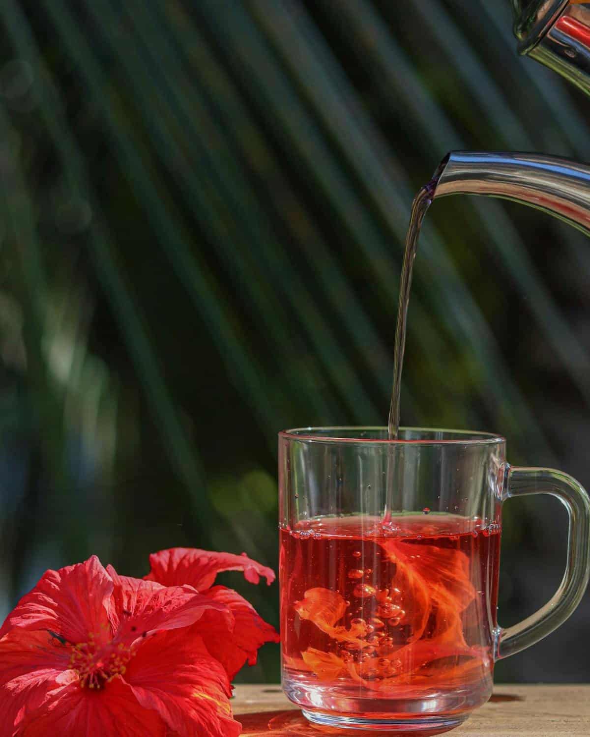 acheter hibiscus