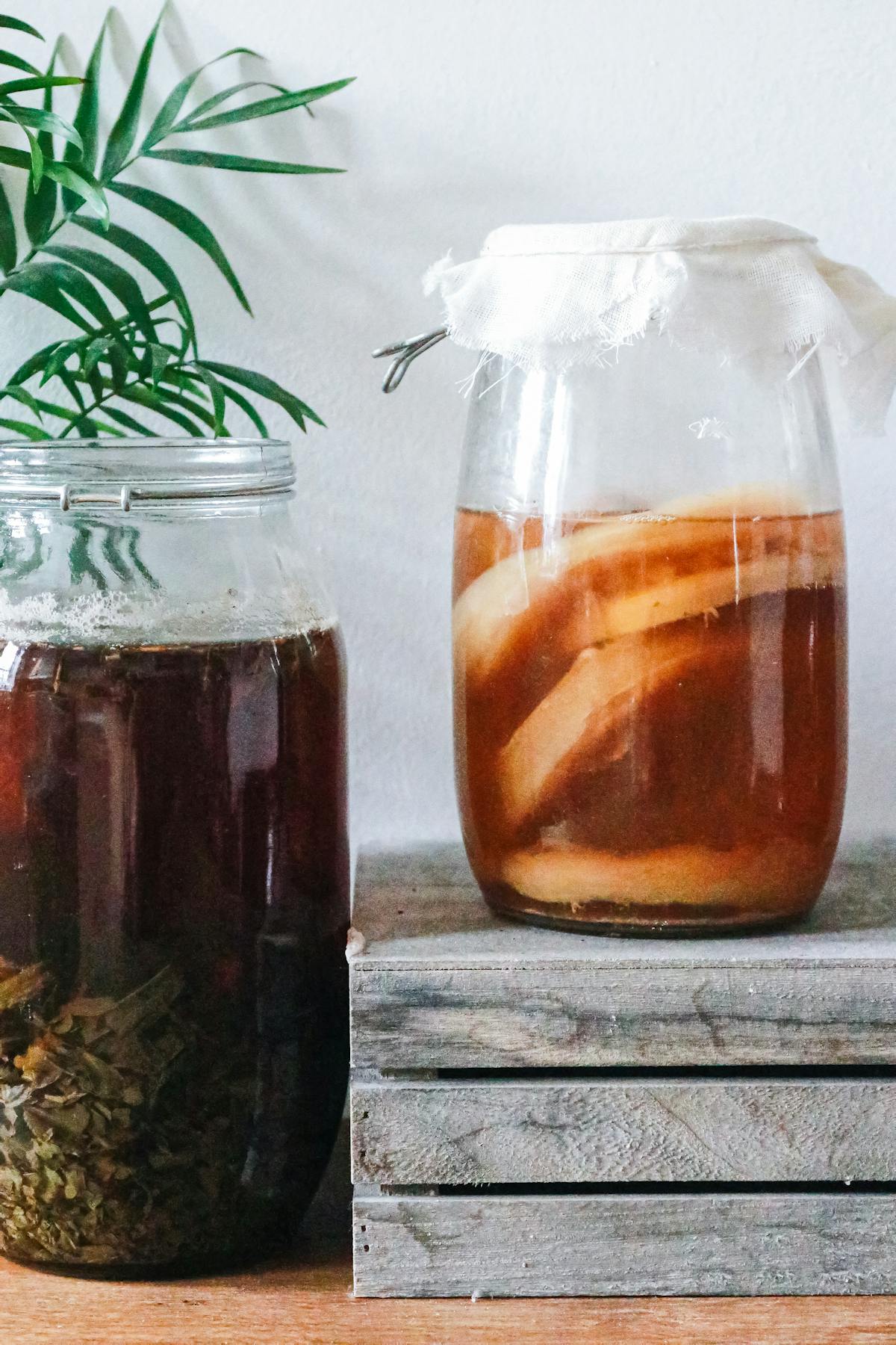 boisson de kombucha
