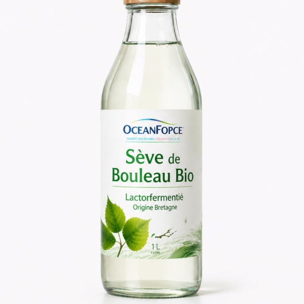 Sève de Bouleau Bio Lactofermentée — Sève de bouleau bio