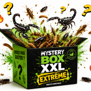 Box Mystère XXL Extrême - 7 produits insectes comestibles dont scorpion et tarentule