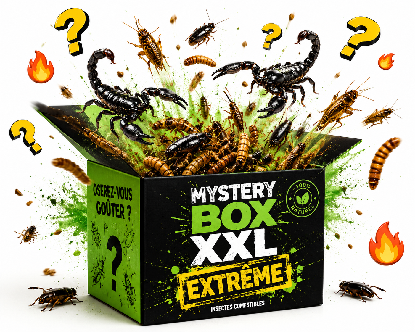 Box Mystère XXL Extrême - 7 produits insectes comestibles dont scorpion et tarentule
