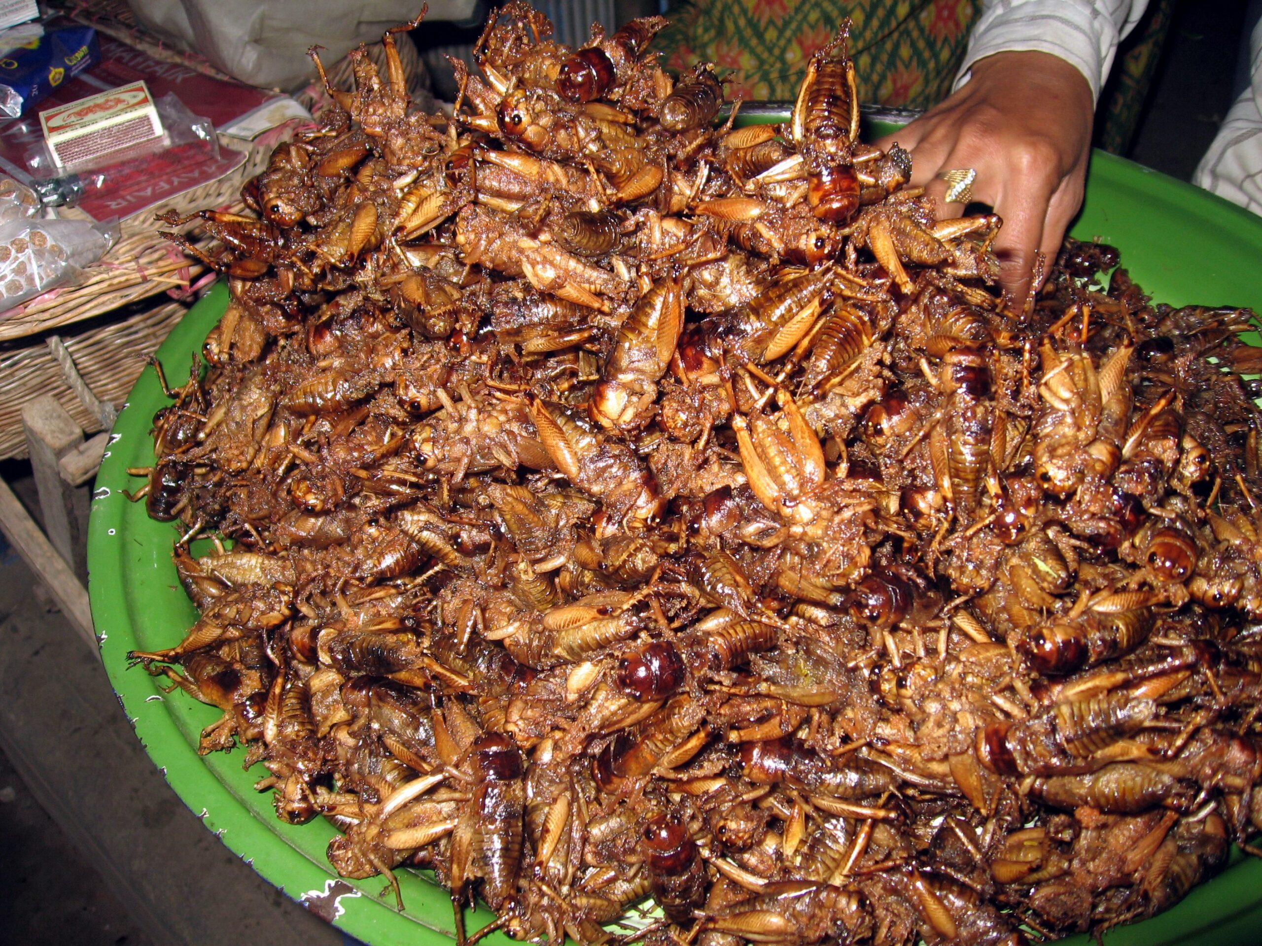 Grillons frits au Cambodge - insectes comestibles