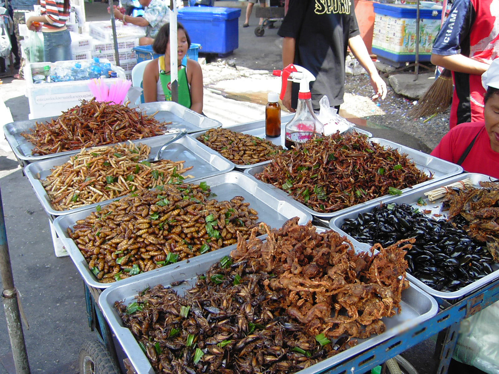 Stand d'insectes comestibles sur un marché asiatique - comme dans Koh Lanta