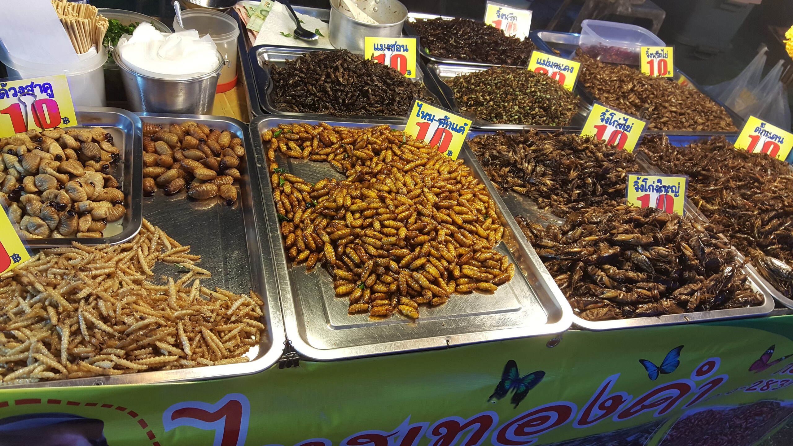 Insectes grillés vendus sur un marché en Thaïlande