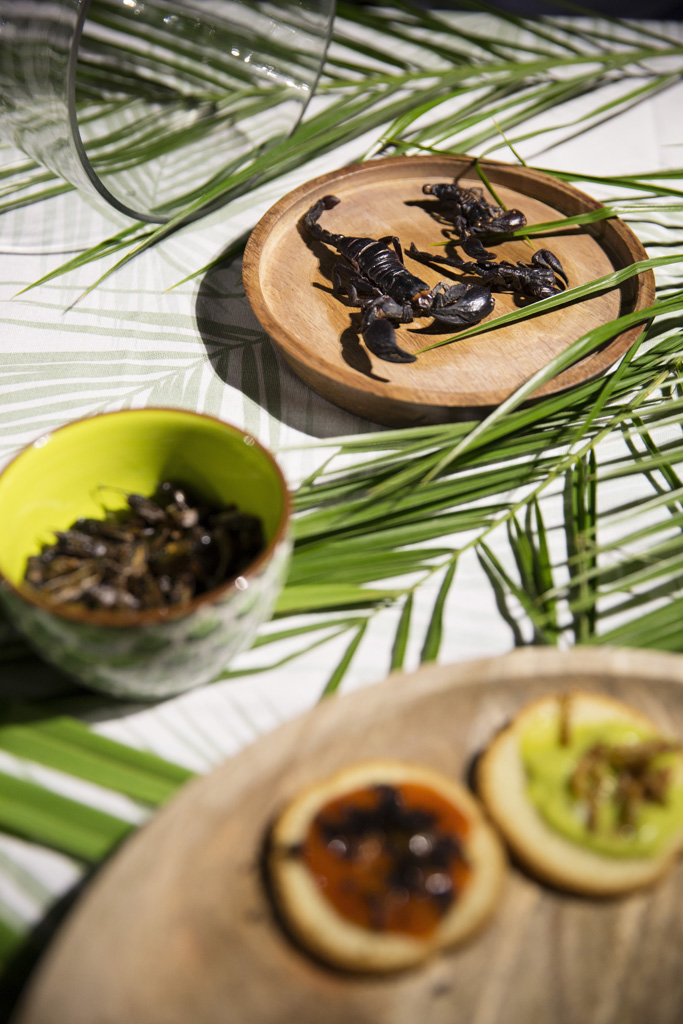 Scorpions comestibles et toasts aux insectes