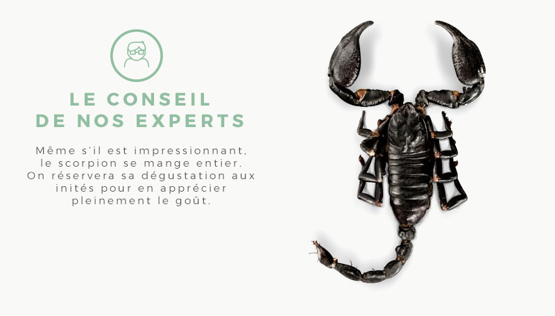 Le conseil de nos experts - Le scorpion se mange entier