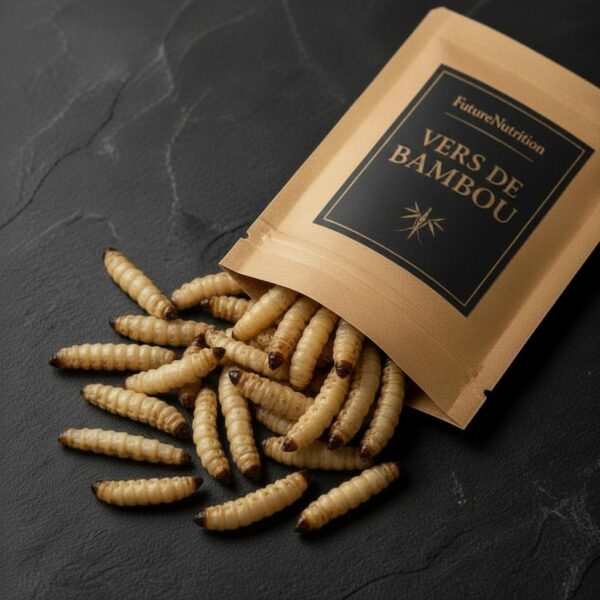 Vers de bambou comestibles - Insecte rare de Thaïlande - FutureNutrition
